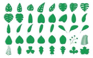 conjunto do verde folhas com esboço vetor