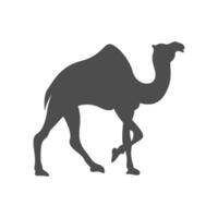 camelo desain logotipo ícone vetor