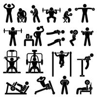 Exercício da aptidão do treinamento do exercício do body building do ginásio da ginástica. vetor