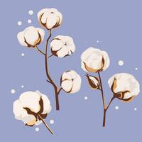 conjunto do algodão flores vetor mão desenhado botânico ilustração.