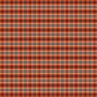 tartan xadrez padronizar. Verifica xadrez. vetor