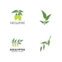 eucalipto deixa ilustração de design de modelo de vetor de logotipo