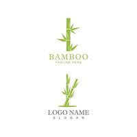 modelo de logotipo de bambu ilustração vetorial ícone design vetor