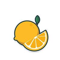laranja fruta. laranjas vetor em uma branco fundo. ícone vetor ilustração
