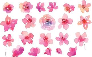 coleção de flores rosa em aquarela vetor