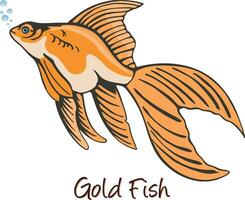 peixinho dourado, cor ilustração vetor