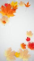 brilhante outono folhas banner de venda. cartão de desconto comercial. ilustração vetorial vetor