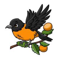 fofa Baltimore oriole pássaro desenho animado em branco fundo vetor