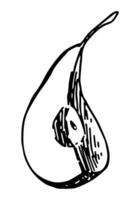 fatia do pera fruta esboço clipart. maduro árvore fruta rabisco isolado em branco. mão desenhado vetor ilustração dentro gravação estilo.