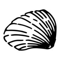 Concha do mar esboço clipart. solteiro rabisco do molusco Concha isolado em branco. mão desenhado vetor ilustração dentro gravação estilo.