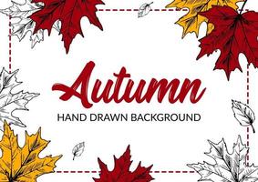 mão desenhada fundo de outono com folhas de bordo coloridas. design de outono horizontal com espaço para texto. ilustração vetorial vetor