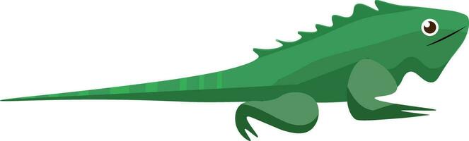 uma rastejando verde iguana iguana iguana selvagem réptil vetor ou cor ilustração
