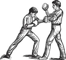 dois boxeadores brigando vintage gravação vetor