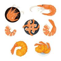 camarão ícone definir. camarão ou camarão silhueta ilustração, para ásia cozinha frutos do mar vetor