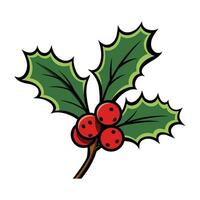 uma azevinho vetor isolado em uma branco fundo, Natal azevinho clipart ilustração