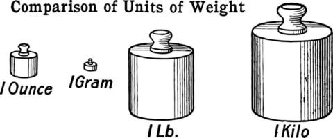 comparação do unidades do peso vintage ilustração. vetor