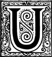 u, ilustração vintage inicial ornamentado. vetor