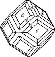 dodecaedro, trapezoedro e hexoctaedro vintage ilustração. vetor