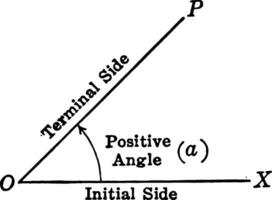 positivo trigonométrico ângulo vintage ilustração. vetor