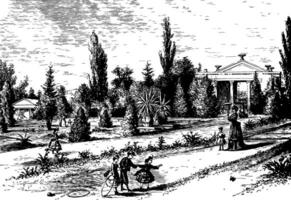 Missouri botânico jardim vintage ilustração vetor