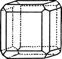 hexaedro e dodecaedro vintage ilustração. vetor