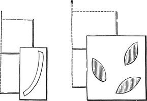 FIG não 971 Catechu quadro, FIG não 972 verde quadro, vintage gravação. vetor
