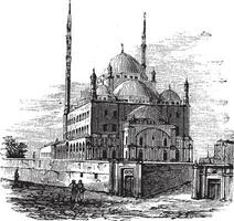 mesquita do Maomé todos ou alabastro mesquita, dentro a cidadela do Cairo, Egito. vintage gravação. vetor