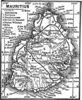 mapa do Maurícia vintage gravação vetor