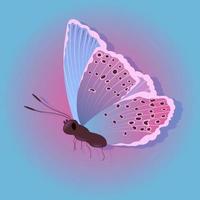 borboleta brilhante em um fundo colorido vetor