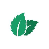natural folha hortelã logotipo vetor modelo símbolo Projeto