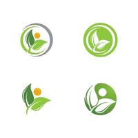 logotipos da ecologia de folhas verdes vetor