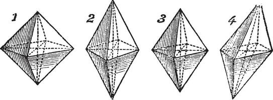 octaedro, vintage gravado ilustração vetor