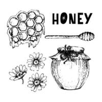 conjunto de mel de vetor. ilustração tirada mão vintage. comida orgânica gravada vetor