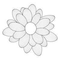 camomila de flor simples desenhada por linhas. ilustração vetorial vetor