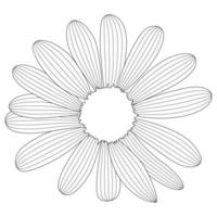 camomila de flor simples desenhada por linhas. ilustração vetorial vetor