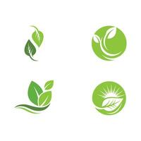 logotipos da ecologia de folhas verdes vetor