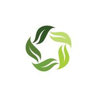 logotipos da ecologia de folhas verdes vetor