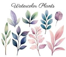 aguarela botânico definir. delicado aguarela plantas para Casamento convites, cartazes. vetor plantas pastel cores.