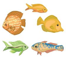 tropical fauna rabiscos definir. coleção do exótico peixe. colori vetor ilustração dentro desenho animado estilo. moderno cliparts isolado em branco.