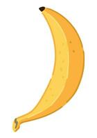banana fruta clipart. doce exótico fruta rabisco isolado em branco. colori vetor ilustração dentro desenho animado estilo.