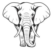 elefante esboço mão desenhado dentro rabisco estilo desenho animado vetor ilustração
