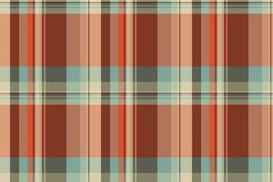 têxtil fundo Verifica do padronizar tartan xadrez com uma vetor desatado tecido textura.