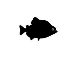 piranha peixe silhueta, pode usar para logotipo grama, local na rede Internet, arte ilustração, pictograma, ícone ou gráfico Projeto elemento. vetor ilustração