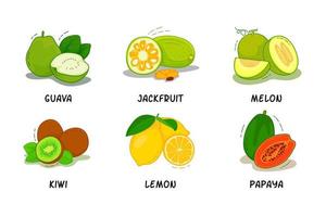 frutas, coleta de frutas, goiaba, jaca, melão, kiwi, limão, mamão vetor