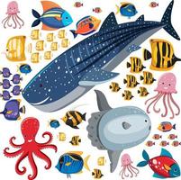desenho animado padrão sem emenda de vida marinha com caráter de animais marinhos vetor
