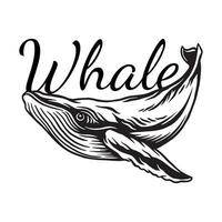baleia animal vetor arte. isolado em branco fundo
