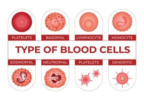 tipo do sangue células Ciência Projeto vetor ilustração diagrama