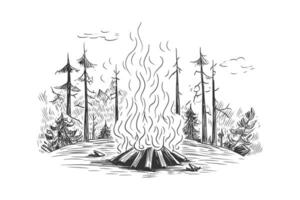 fogueira queimando dentro a floresta esboço mão retirou. vetor ilustração Projeto.