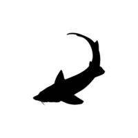 beluga esturjão ou huso peixe silhueta, peixe que produzir Prêmio e caro caviar, para logotipo tipo, arte ilustração, pictograma, aplicativos, local na rede Internet ou gráfico Projeto elemento. vetor ilustração