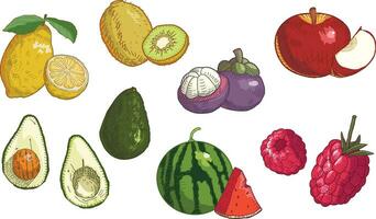 conjunto do frutas, fruta ícone vintage coleção - vetor ilustração